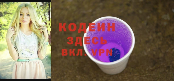 прущие грибы Няндома