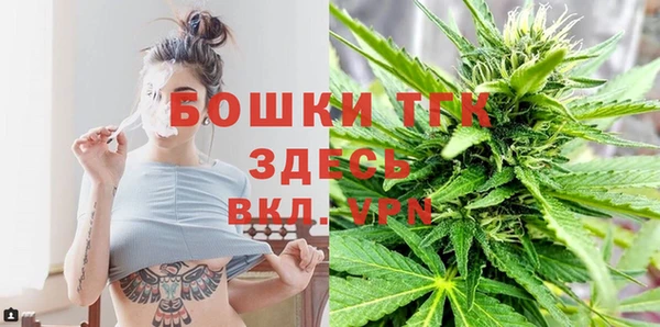 ГАЛЛЮЦИНОГЕННЫЕ ГРИБЫ Вязники