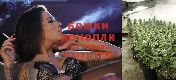 мдма Новодвинск