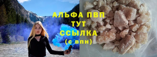 прущие грибы Няндома