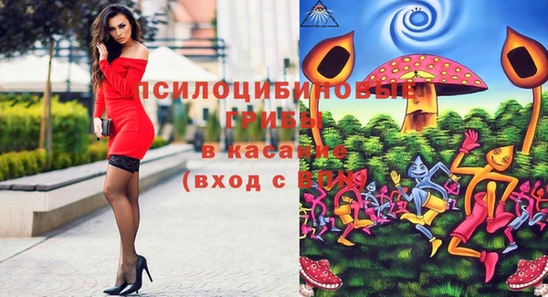 прущие грибы Няндома